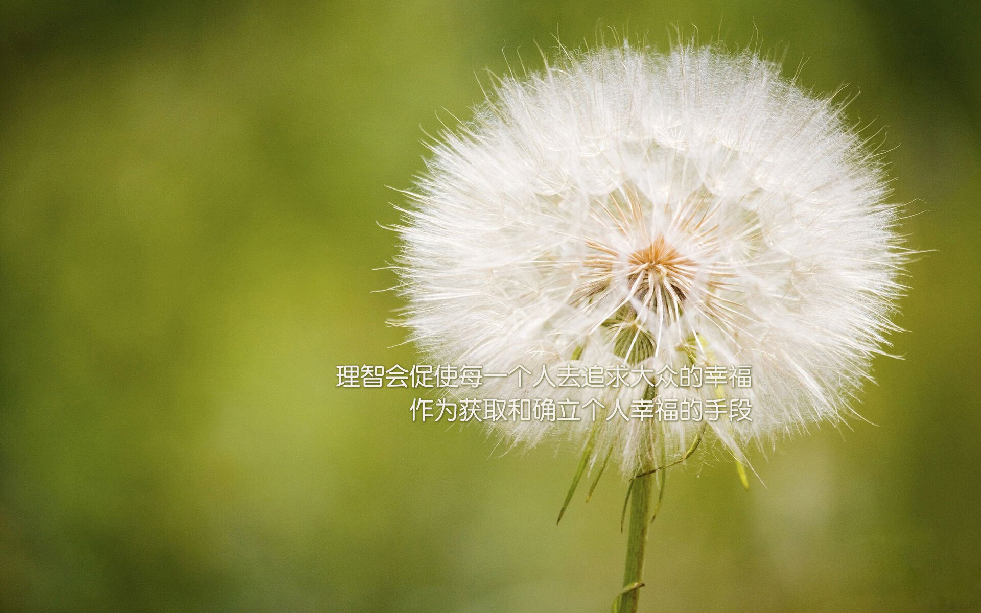 开云在线直播-青少年“智慧选手”创新训练大赛在青海全面展开，推动青训数字化革新