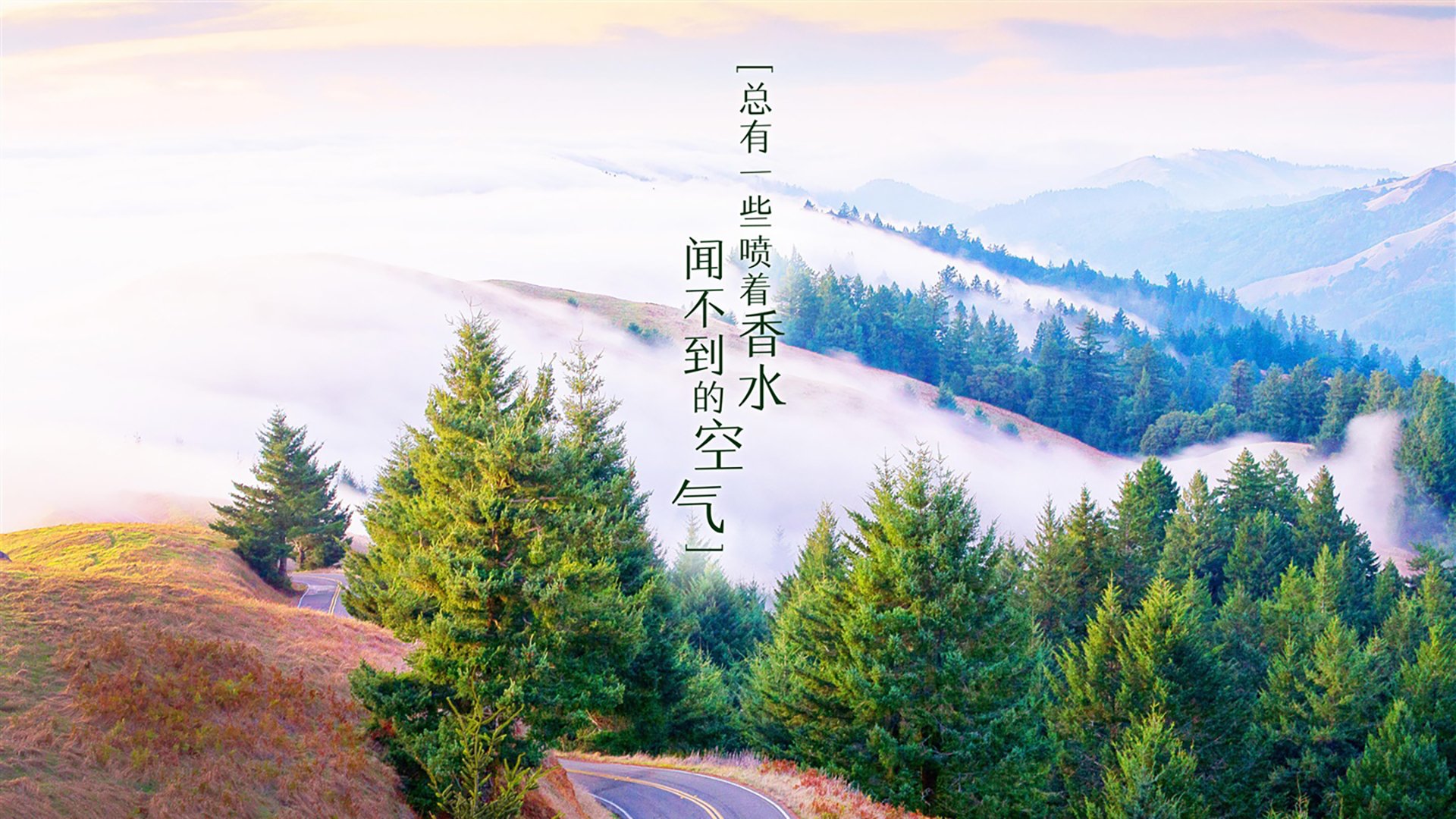 新闻中心发布环保行动方案，环保行动计划