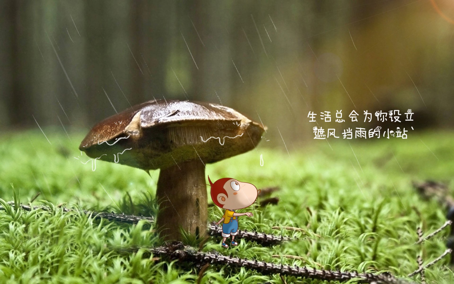 开云体育视频直播-欧洲杯天王比拼：技巧与毅力的巅峰对决！，欧洲杯各队实力天梯